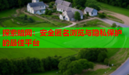 探索暗网：安全匿名浏览与隐私保护的最佳平台