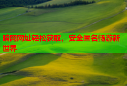 暗网网址轻松获取，安全匿名畅游新世界