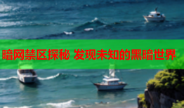 暗网禁区探秘 发现未知的黑暗世界