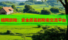 暗网禁呦：安全匿名的秘密交流平台