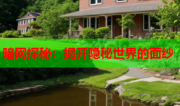 暗网探秘：揭开隐秘世界的面纱