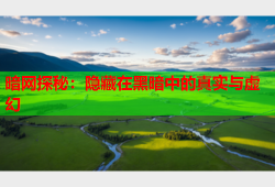 暗网探秘：隐藏在黑暗中的真实与虚幻