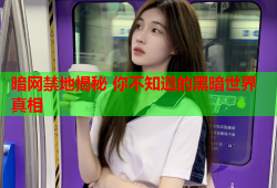 暗网禁地揭秘 你不知道的黑暗世界真相