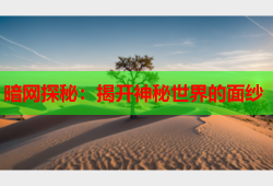 暗网探秘：揭开神秘世界的面纱