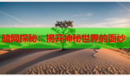 暗网探秘：揭开神秘世界的面纱