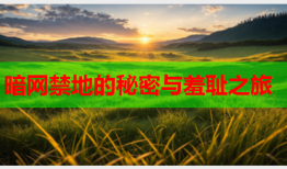 暗网禁地的秘密与羞耻之旅