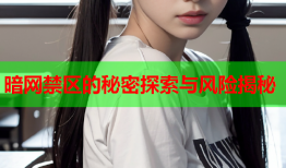 暗网禁区的秘密探索与风险揭秘
