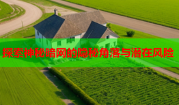 探索神秘暗网的隐秘角落与潜在风险