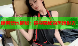 暗网禁地揭秘：探寻隐秘的黑暗世界