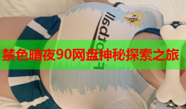 禁色暗夜90网盘神秘探索之旅