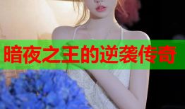 暗夜之王的逆袭传奇