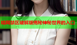 暗网禁区破解版揭秘神秘世界的入口