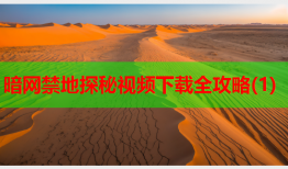 暗网禁地探秘视频下载全攻略(1)