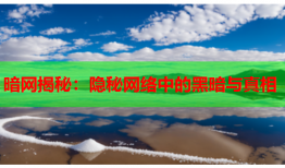 暗网揭秘：隐秘网络中的黑暗与真相