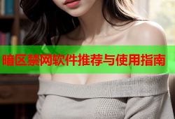 暗区禁网软件推荐与使用指南