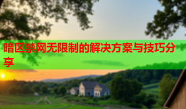 暗区禁网无限制的解决方案与技巧分享