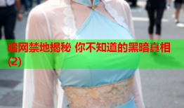 暗网禁地揭秘 你不知道的黑暗真相(2)