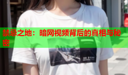 禁忌之地：暗网视频背后的真相与秘密