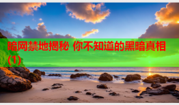 暗网禁地揭秘 你不知道的黑暗真相(1)