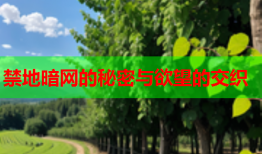 禁地暗网的秘密与欲望的交织