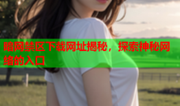 暗网禁区下载网址揭秘，探索神秘网络的入口