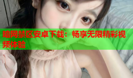 暗网禁区安卓下载：畅享无限精彩视频体验
