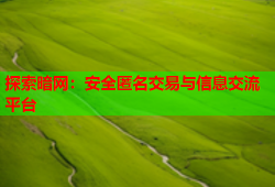 探索暗网：安全匿名交易与信息交流平台