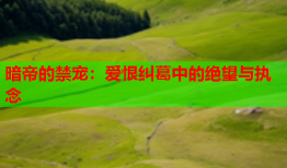 暗帝的禁宠：爱恨纠葛中的绝望与执念