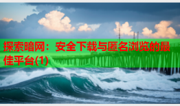探索暗网：安全下载与匿名浏览的最佳平台(1)