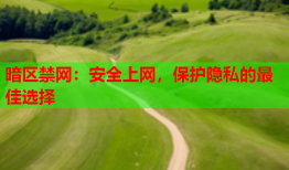 暗区禁网：安全上网，保护隐私的最佳选择