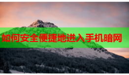 如何安全便捷地进入手机暗网
