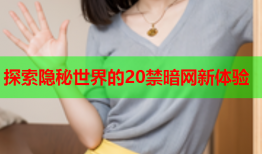 探索隐秘世界的20禁暗网新体验
