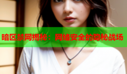 暗区禁网揭秘：网络安全的隐秘战场
