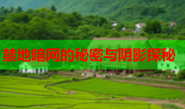 禁地暗网的秘密与阴影探秘
