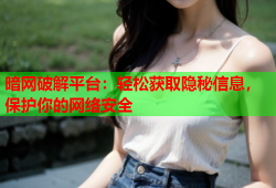 暗网破解平台：轻松获取隐秘信息，保护你的网络安全