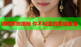 暗网禁地揭秘 你不知道的黑暗角落