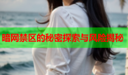 暗网禁区的秘密探索与风险揭秘