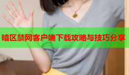 暗区禁网客户端下载攻略与技巧分享