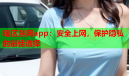 暗区禁网app：安全上网，保护隐私的最佳选择