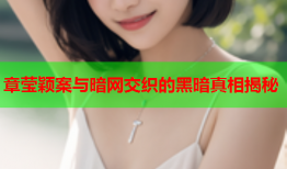 章莹颖案与暗网交织的黑暗真相揭秘