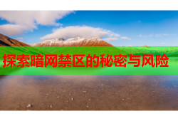 探索暗网禁区的秘密与风险