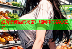 红房子背后的秘密：暗网中的禁忌之地