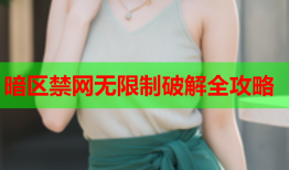 暗区禁网无限制破解全攻略