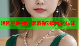 暗网禁地揭秘 颠覆你对网络的认知