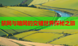 禁网与暗网的交错世界探秘之旅