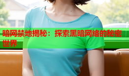 暗网禁地揭秘：探索黑暗网络的秘密世界