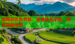 暗网禁区免费版：安全匿名浏览，探索隐藏世界