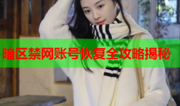 暗区禁网账号恢复全攻略揭秘