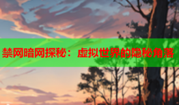 禁网暗网探秘：虚拟世界的隐秘角落