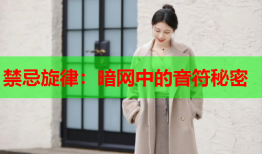 禁忌旋律：暗网中的音符秘密